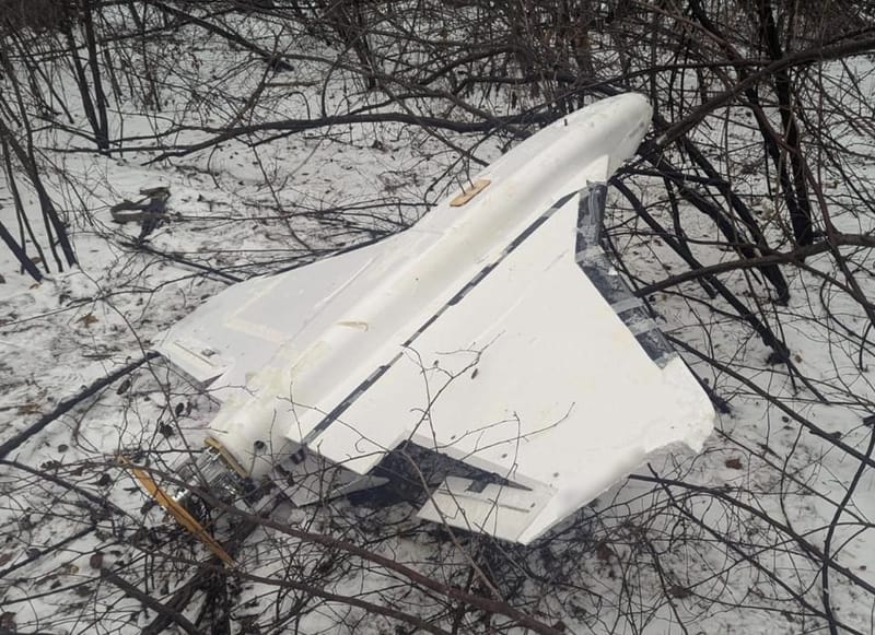 Biały dron o skrzydłach w kształcie delty leży wśród nagich krzaków na zaśnieżonej ziemi.